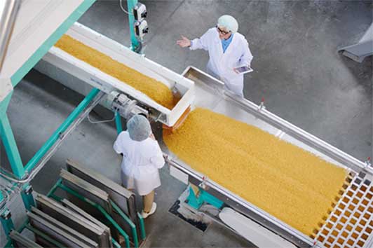 Grain Processing Machines