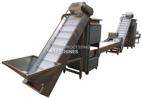 Vegetable Processing Plant in India