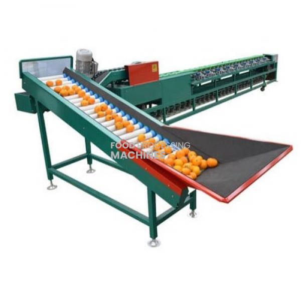 Automatic Fruit And Vegetable Sorting Machine