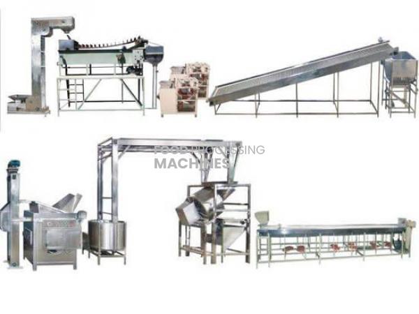 Fried Peanut Processing Line