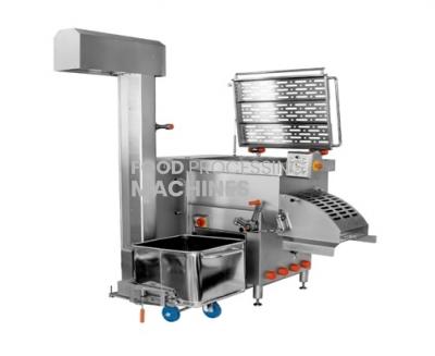 Industrial Meat Mixer