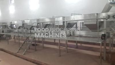 Mango Processing Plant And Machinery