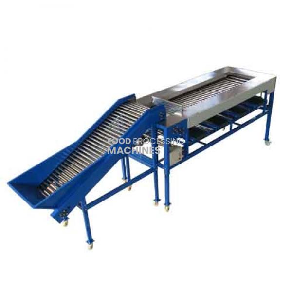 Roller Sorting Machine