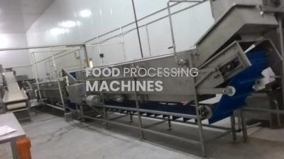 Tomato Puree Processing Plant